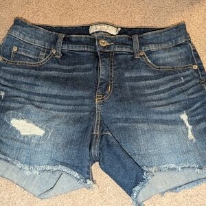 Torrid Blue Jean Shorts for Women
